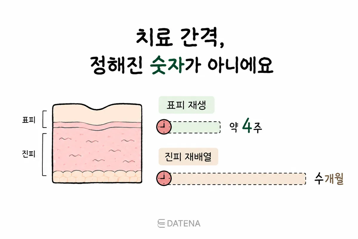 比較表皮再生約4週與真皮膠原蛋白重新排列需數個月的治療間隔示意圖