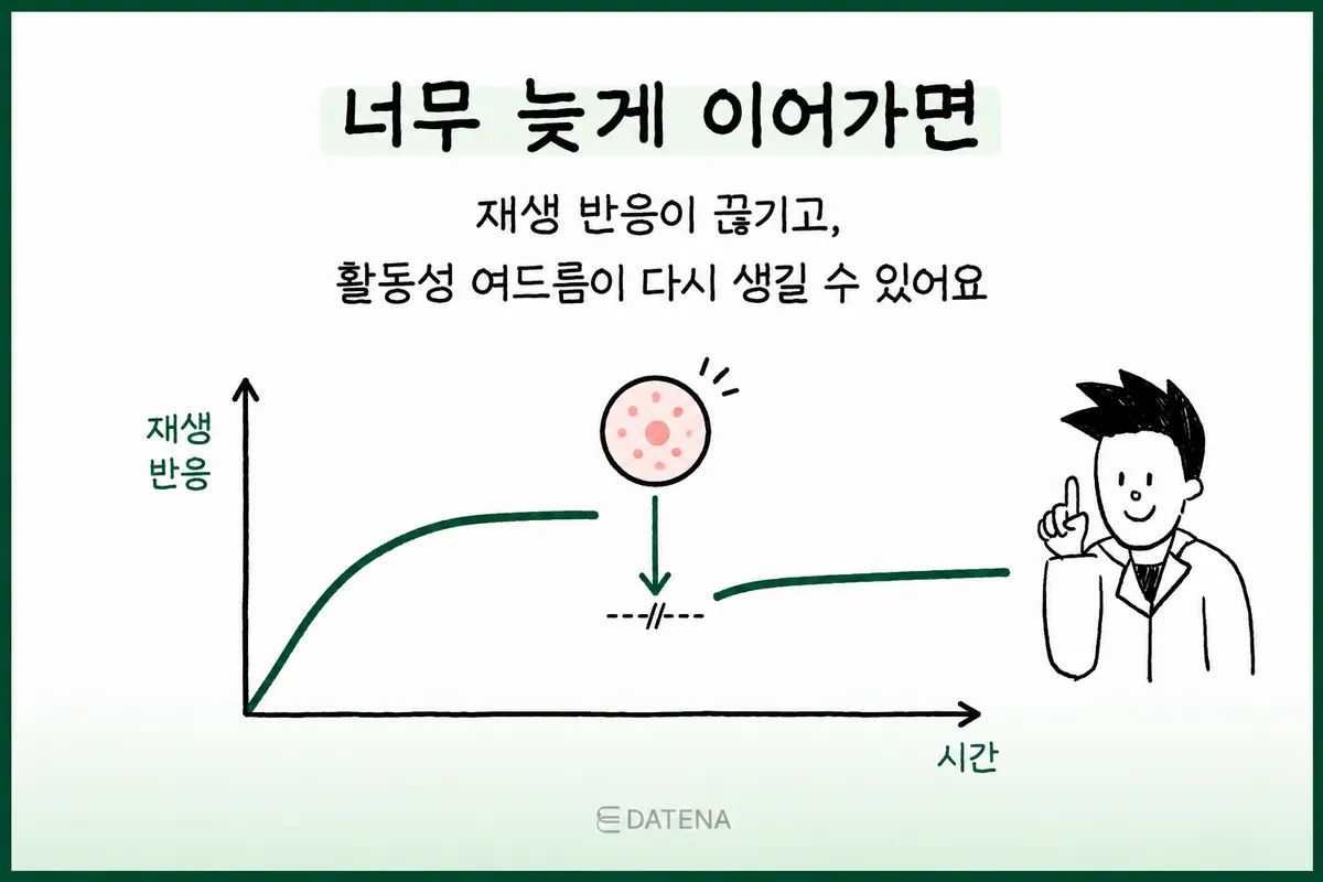 治療間隔過長時再生反應中斷、痘痘可能再次冒出的時間圖表