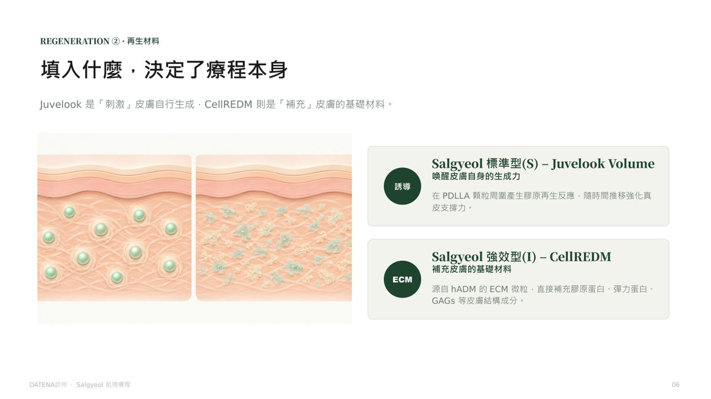 肌理再生療法 諮詢資料6